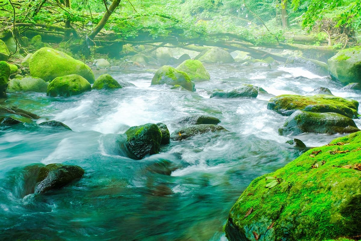 fotolia_221577145_m_20190121104334084.jpg