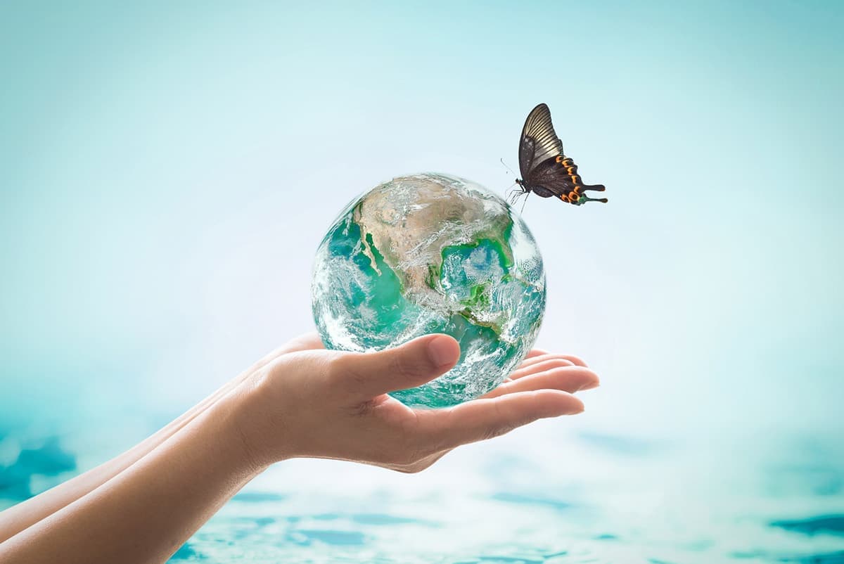 fotolia_190172799_m_20190121104340400.jpg